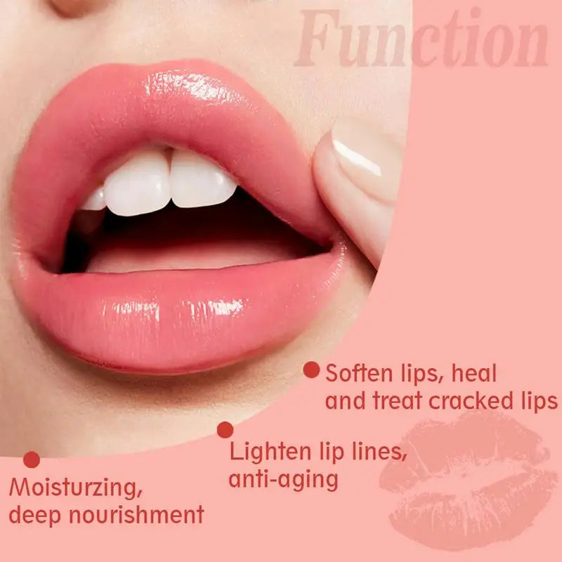 Lip Plumper Gloss With Ginger Mint Extracts And Vitamin E  For Moisturizing And Reducing Fine lines