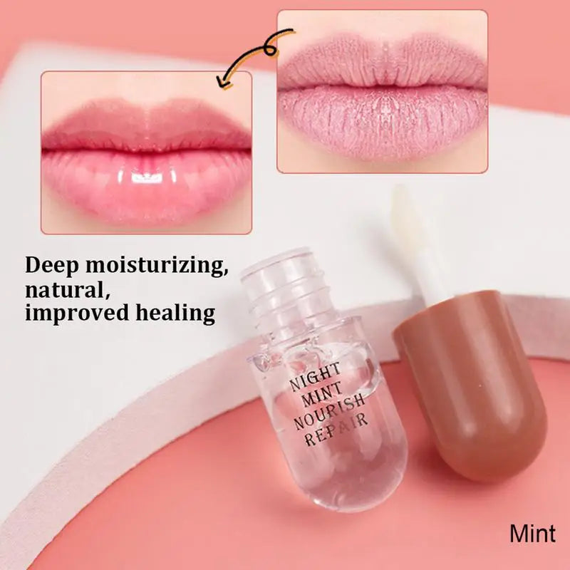 Lip Plumper Gloss With Ginger Mint Extracts And Vitamin E  For Moisturizing And Reducing Fine lines